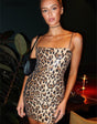 Gorgeous leopard print mini dress