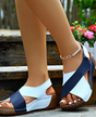 Blue & White